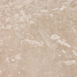 Babylon Coffee Table FURNITURE - coffee table Four Hands