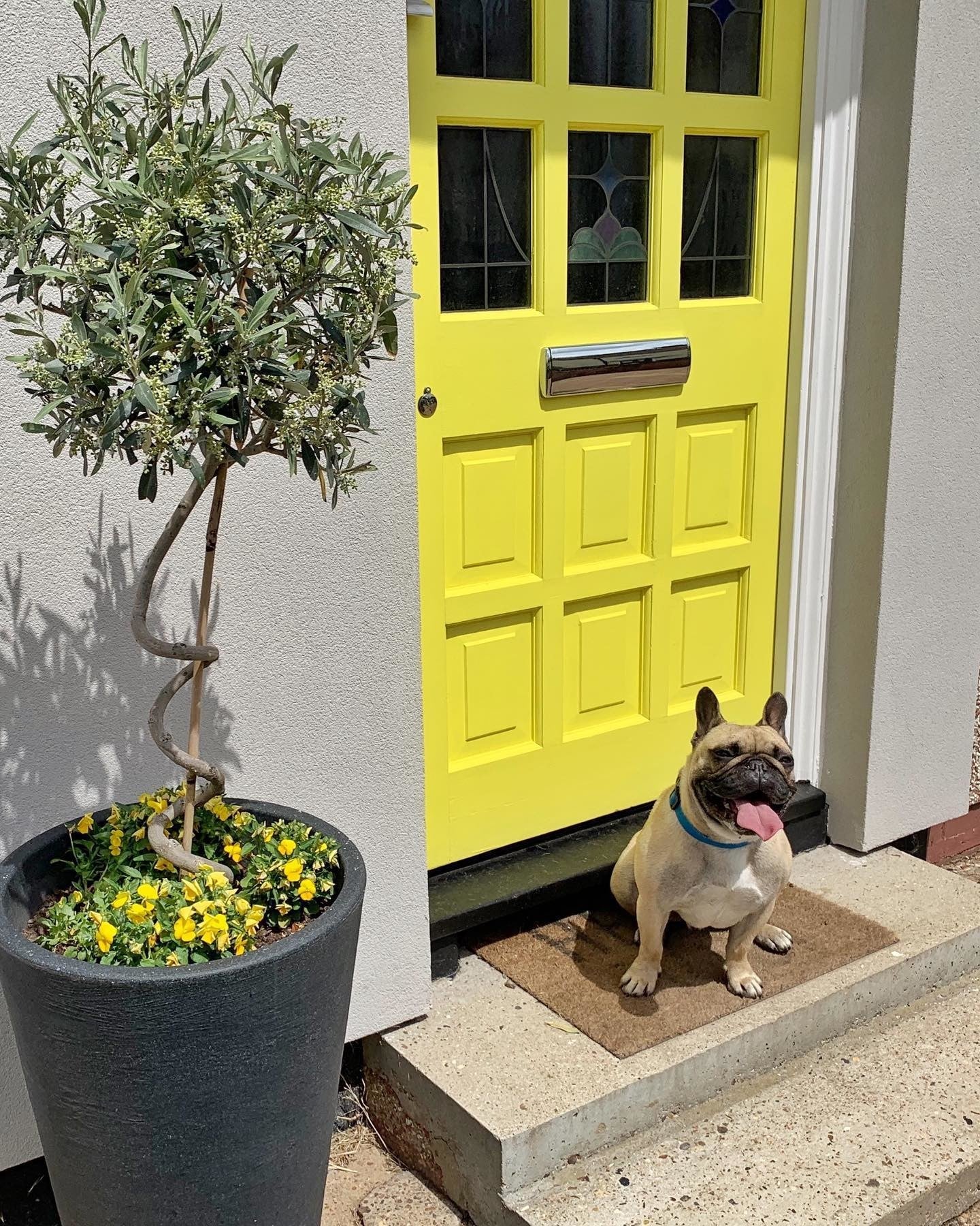 Farrow & Ball Yellowcake No. 279 - Archive Collection PAINT - Farrow & Ball Farrow & Ball