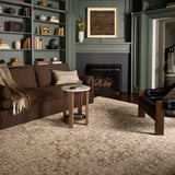 Loloi Newman Bark / Natural Rug Rugs Loloi