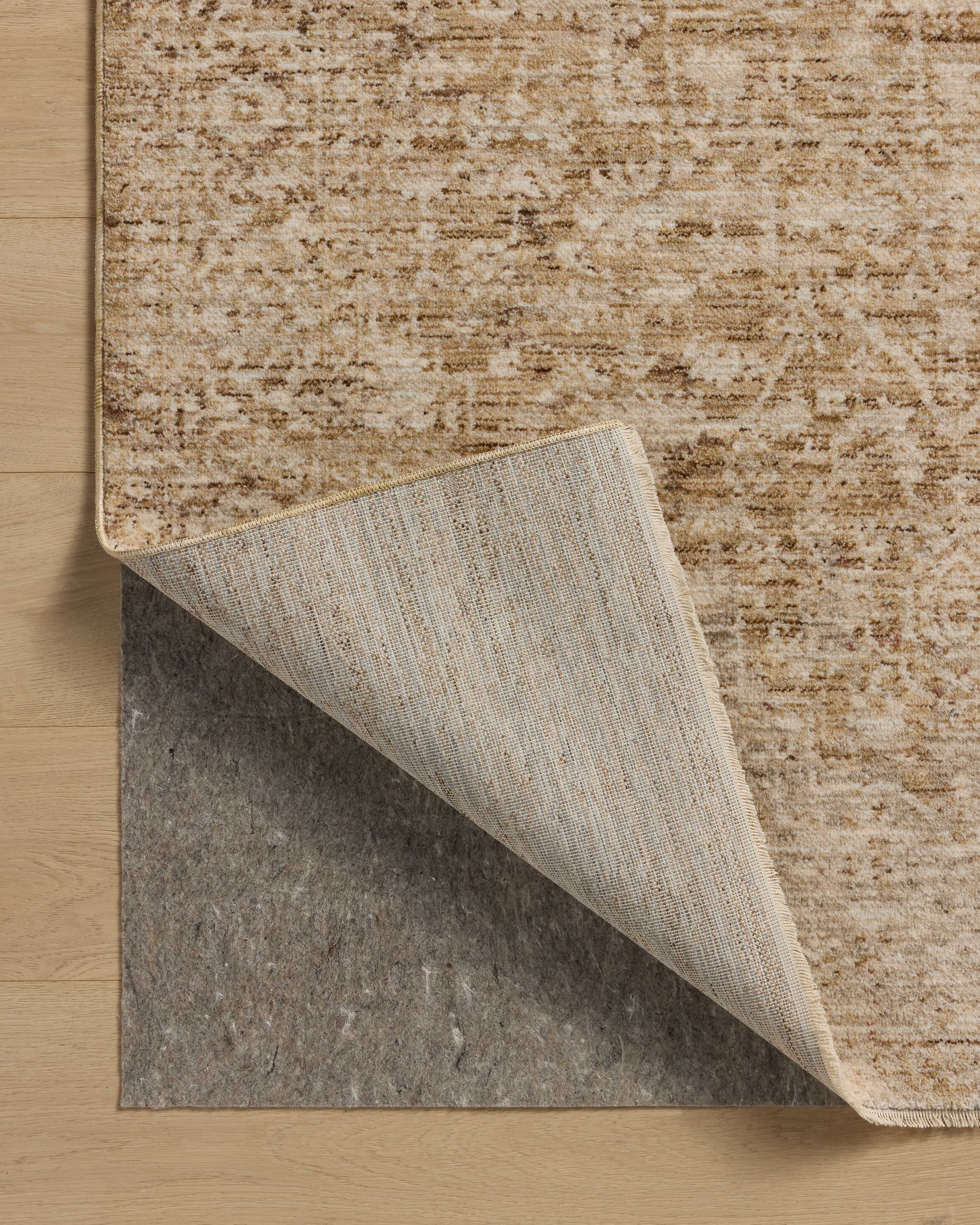 Loloi Newman Wheat / Natural Rug Rugs Loloi