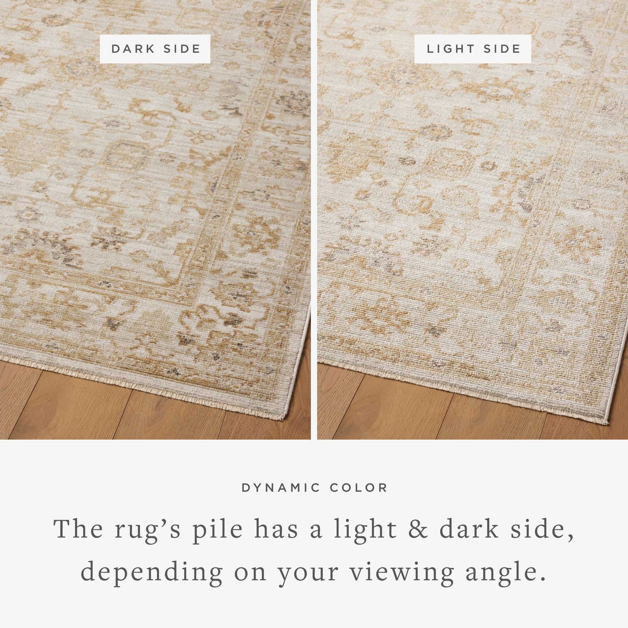 Magnolia Home by Joanna Gaines x Loloi Pace Natural / Gold Rug RUGS - synthetic Loloi