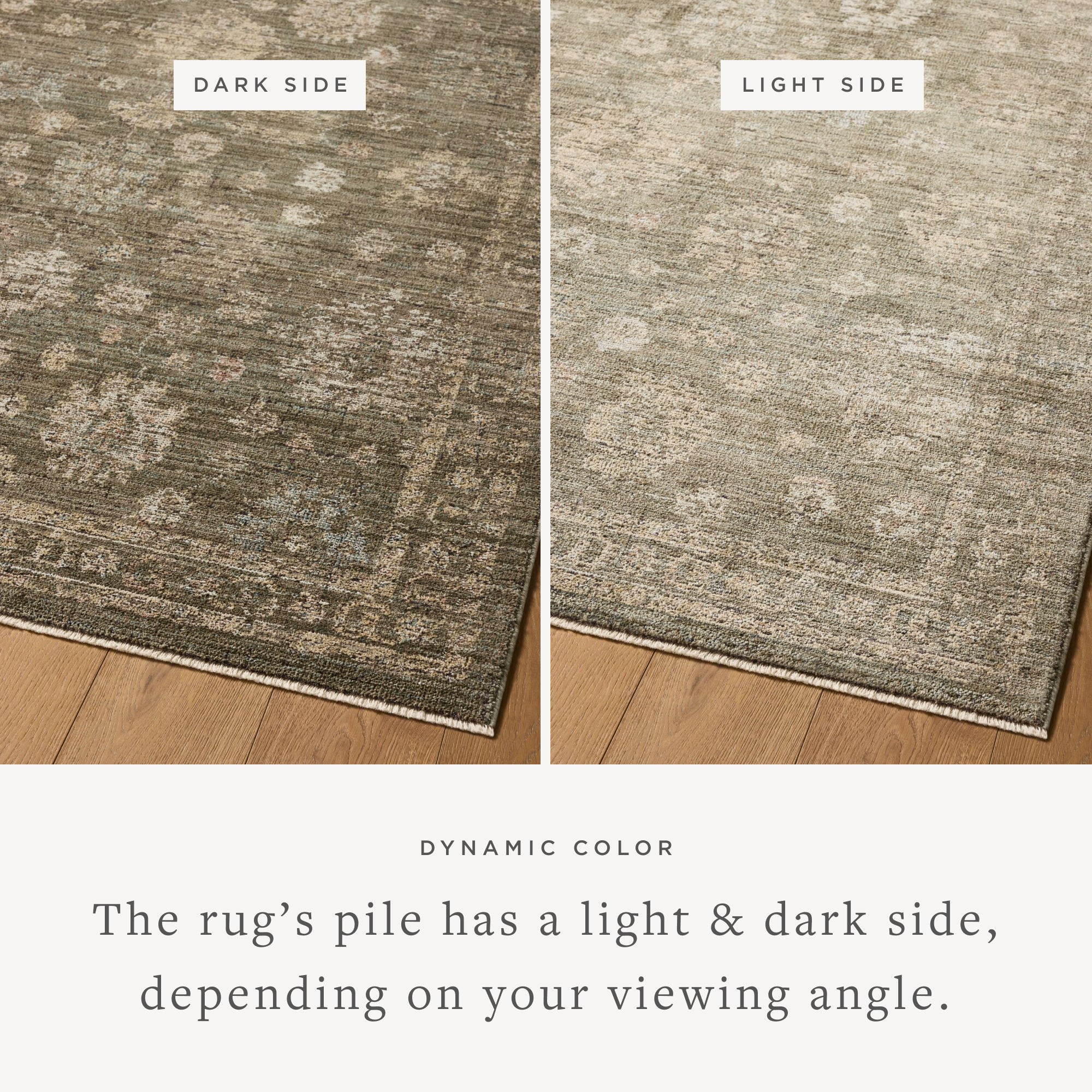 Loloi Priscilla Olive / Sand Rug RUGS - synthetic Loloi