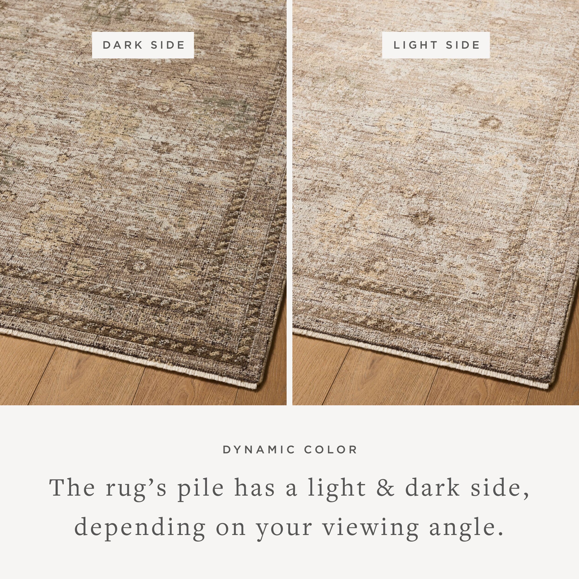 Loloi Priscilla Sand / Earth Rug RUGS - synthetic Loloi
