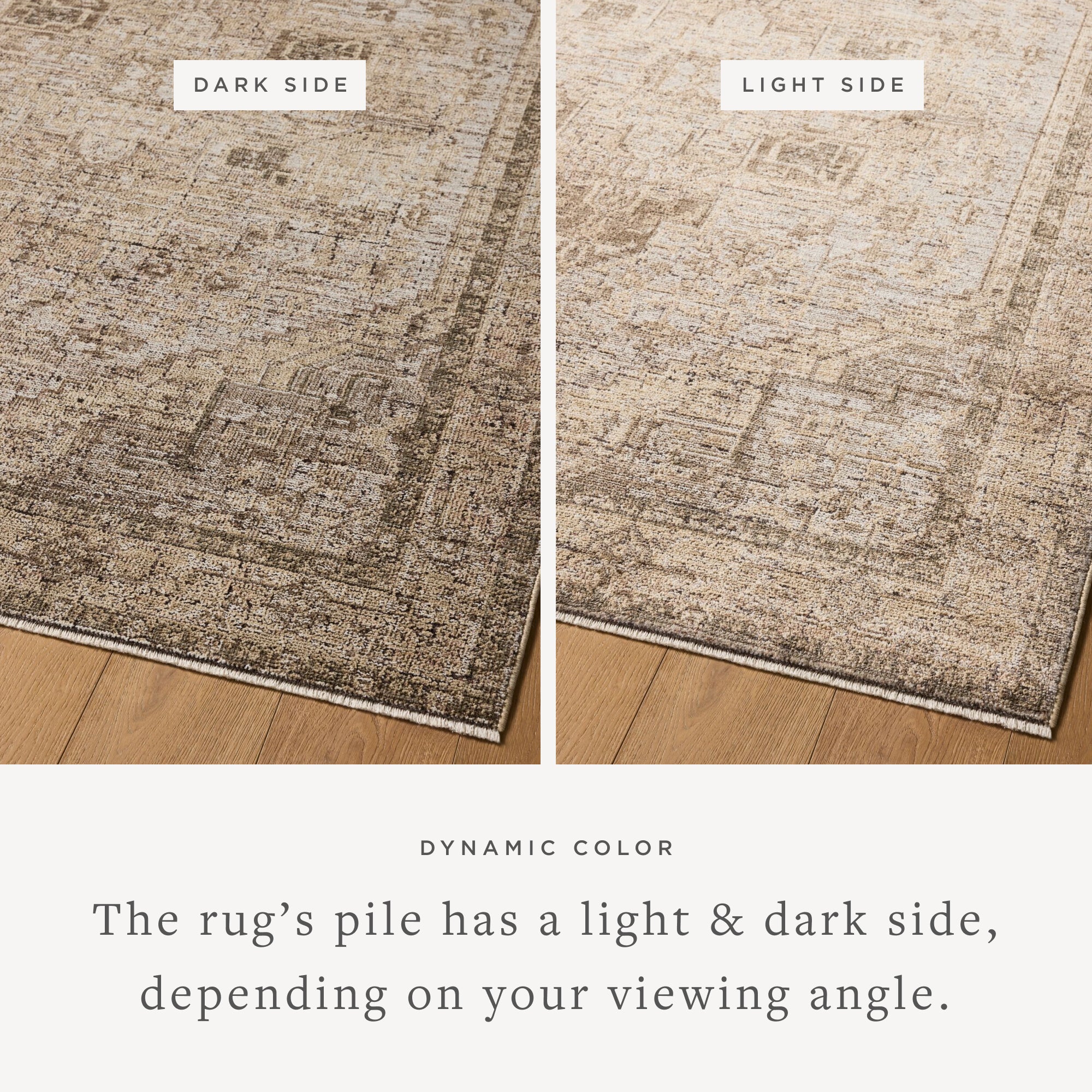 Loloi Priscilla Beige / Earth Rug RUGS - synthetic Loloi