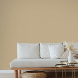 Farrow & Ball Biscuit No. 38 - Archive Collection PAINT - Farrow & Ball Farrow & Ball