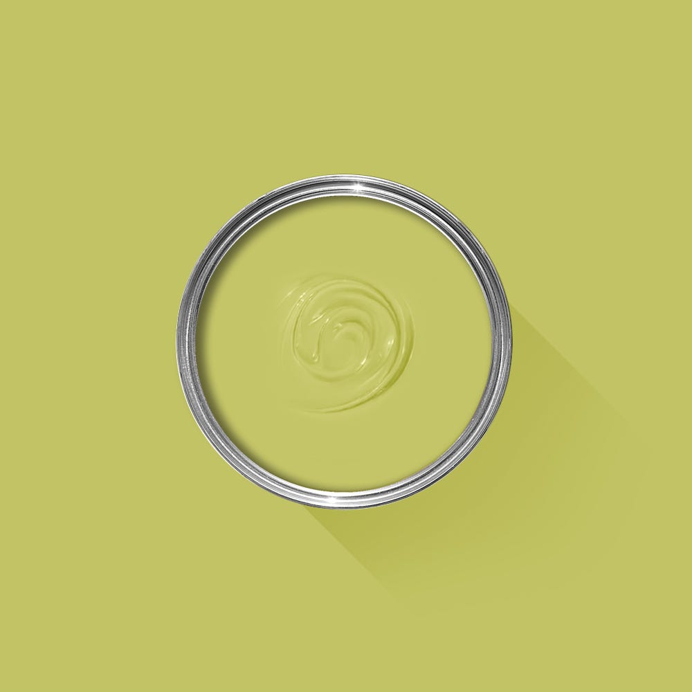 Farrow & Ball Acid Drop No. 9908 - Archive Collection PAINT - Farrow & Ball Farrow & Ball