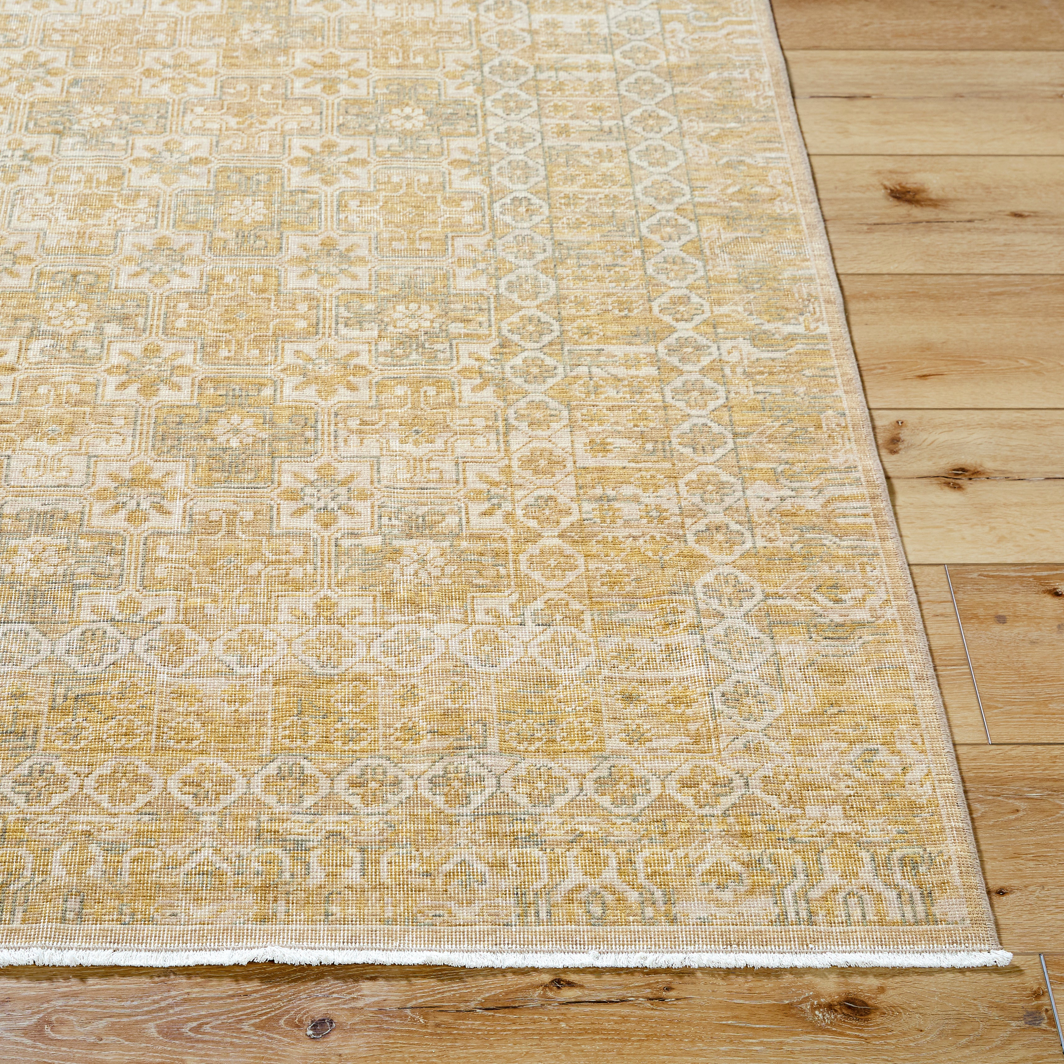 renaissance BORI-2303 Light Beige, Tan, Taupe Rug - Rug & Weave