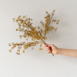 Faux Meadow Grass faux stem Abigail Ahern (Aesthetic Movement)