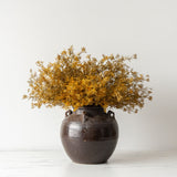 Faux Meadow Grass faux stem Abigail Ahern (Aesthetic Movement)
