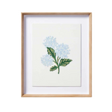 Hydrangea Cream Framed Art Print ARTWORK - framed print Loloi