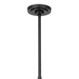 STORE FIXTURE - Artemis Chandelier (Oil Rubbed Bronze with Champagne Glass) LIGHTING - store fixture Regina Andrew