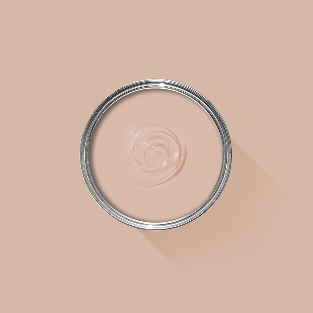 Farrow & Ball Setting Plaster No. 231 PAINT - Farrow & Ball Farrow & Ball