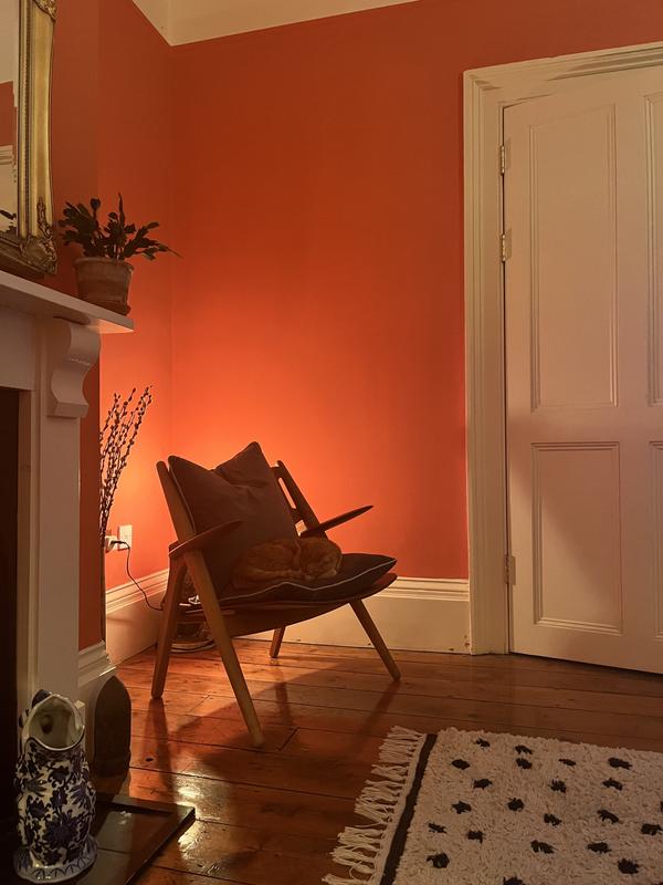 Farrow & Ball Bisque No. 9811 - Archive Collection PAINT - Farrow & Ball Farrow & Ball