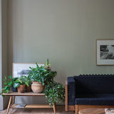 Farrow & Ball Ash Grey No. W9 PAINT - Farrow & Ball Farrow & Ball