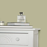 Farrow & Ball Ball Green No. 75 PAINT - Farrow & Ball Farrow & Ball