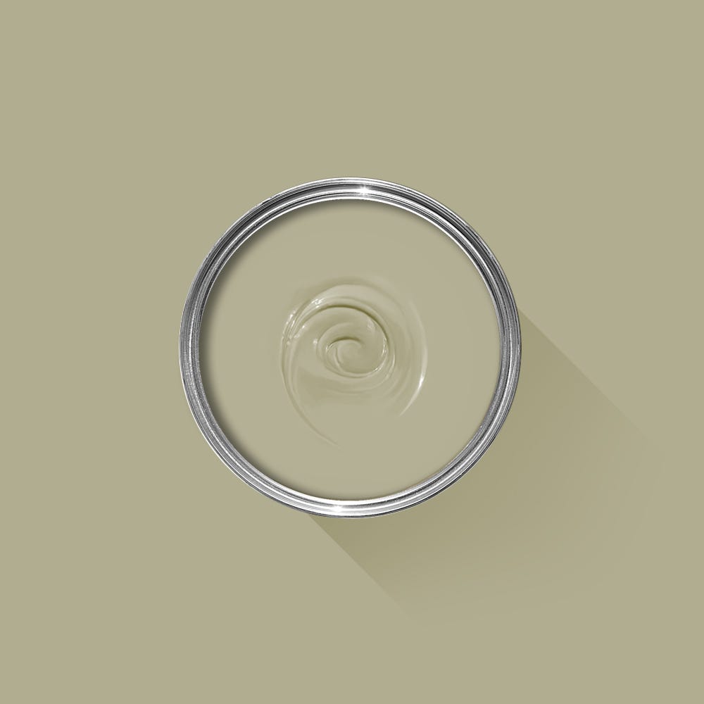 Farrow & Ball Ball Green No. 75 PAINT - Farrow & Ball Farrow & Ball