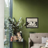 Farrow & Ball Bancha No. 298 PAINT - Farrow & Ball Farrow & Ball