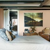 Farrow & Ball Setting Plaster No. 231 PAINT - Farrow & Ball Farrow & Ball
