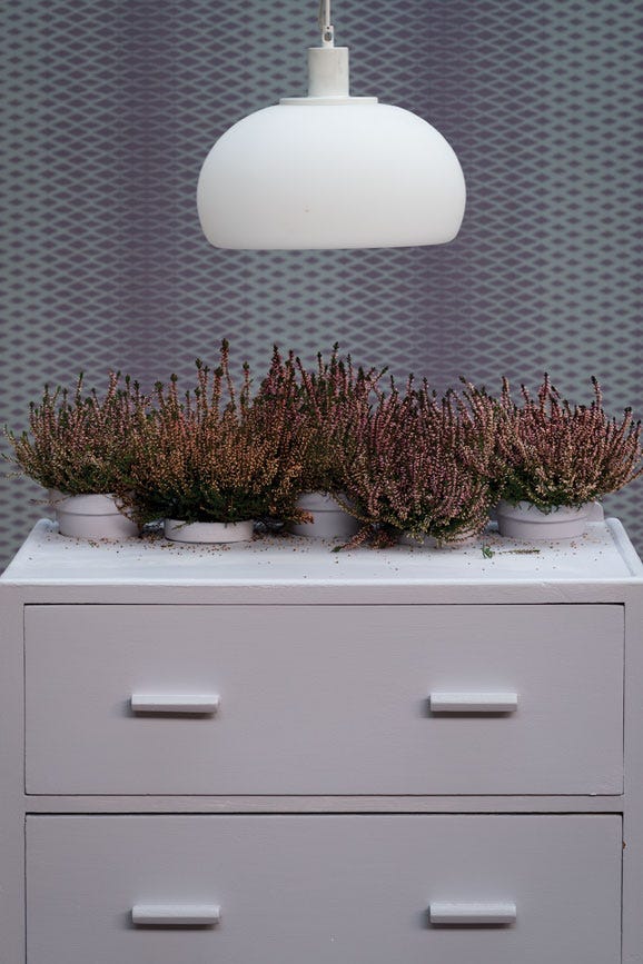 Farrow & Ball Calluna No. 270 PAINT - Farrow & Ball Farrow & Ball
