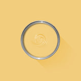 Farrow & Ball Citron No. 74 PAINT - Farrow & Ball Farrow & Ball
