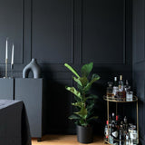Farrow & Ball Pitch Black No. 256 PAINT - Farrow & Ball Farrow & Ball