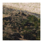 Amber Lewis x Loloi Monterey Framed Art 0-ARTWORK - framed print Loloi