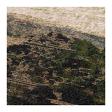 Amber Lewis x Loloi Monterey Framed Art 0-ARTWORK - framed print Loloi