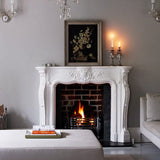 Farrow & Ball Pavilion Gray No. 242 PAINT - Farrow & Ball Farrow & Ball