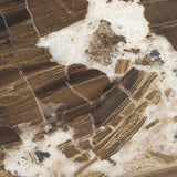 IN STORE - Joelle Coffee Table FURNITURE - in store Mercana