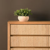Tavi Dresser
