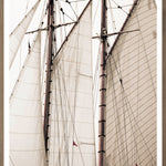 "Sails" Framed Art Print ARTWORK - framed print Celadon Art Large Oak