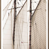 "Sails" Framed Art Print ARTWORK - framed print Celadon Art Large Oak