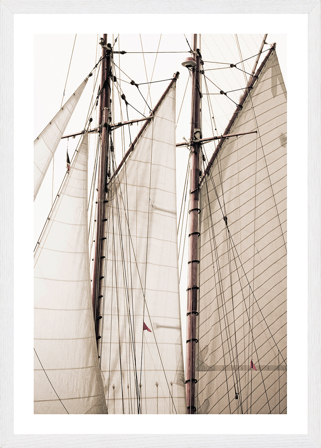 "Sails" Framed Art Print ARTWORK - framed print Celadon Art Small White