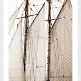 "Sails" Framed Art Print ARTWORK - framed print Celadon Art Small White