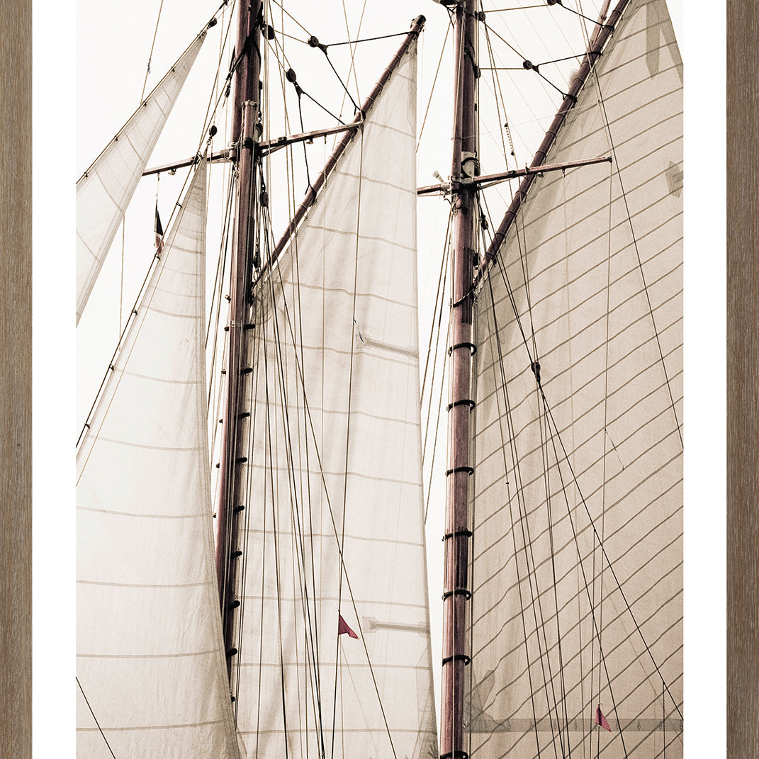 "Sails" Framed Art Print ARTWORK - framed print Celadon Art Small Oak