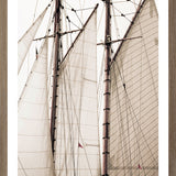 "Sails" Framed Art Print ARTWORK - framed print Celadon Art Small Oak
