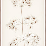 "Botanical Sketch I" Framed Art Print ARTWORK - framed print Celadon Art Large