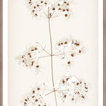 "Botanical Sketch I" Framed Art Print ARTWORK - framed print Celadon Art Small