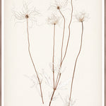 "Botanical Sketch III" Framed Art Print ARTWORK - framed print Celadon Art Large