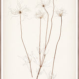 "Botanical Sketch III" Framed Art Print ARTWORK - framed print Celadon Art Large