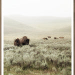 "Grazing Hills I" Framed Art Print ARTWORK - framed print Celadon Art
