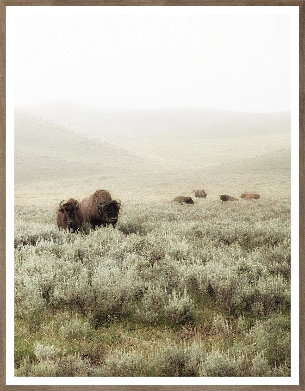 "Grazing Hills I" Framed Art Print ARTWORK - framed print Celadon Art