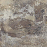 Penumbra II Mural by Matera WALLPAPER - mural Four Hands
