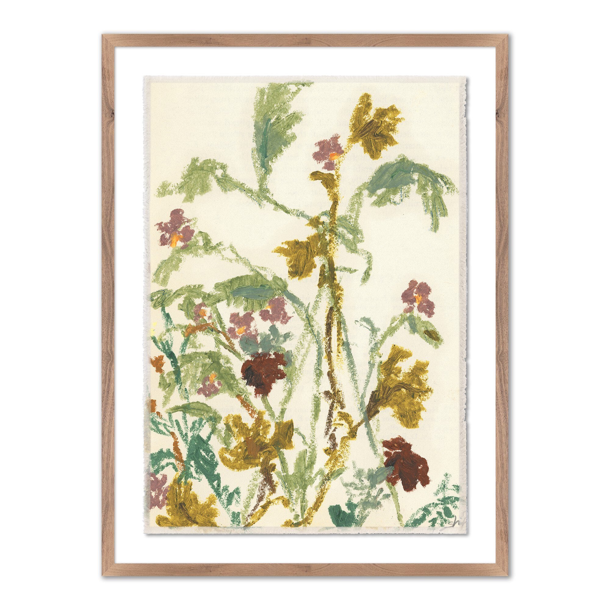 "Meadow Rue 1" by Shaina Page ARTWORK - framed print Four Hands