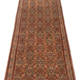 3'1" x 10'3" Vintage Andelz Runner