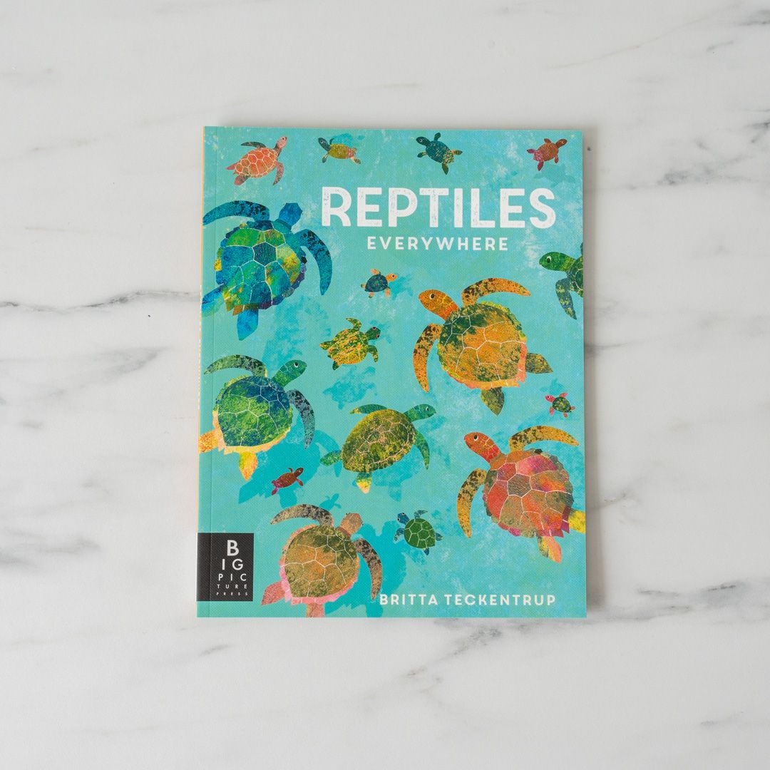 "Reptiles Everywhere" by Camilla de la Bedoyere - Rug & Weave