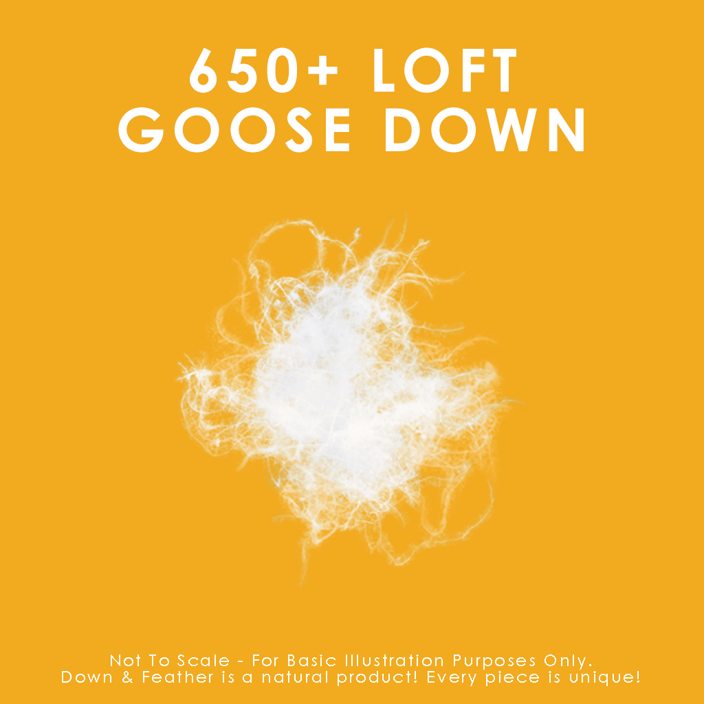 650 Loft White Goose Down Duvet Duvet Canadian Down & Feather Company