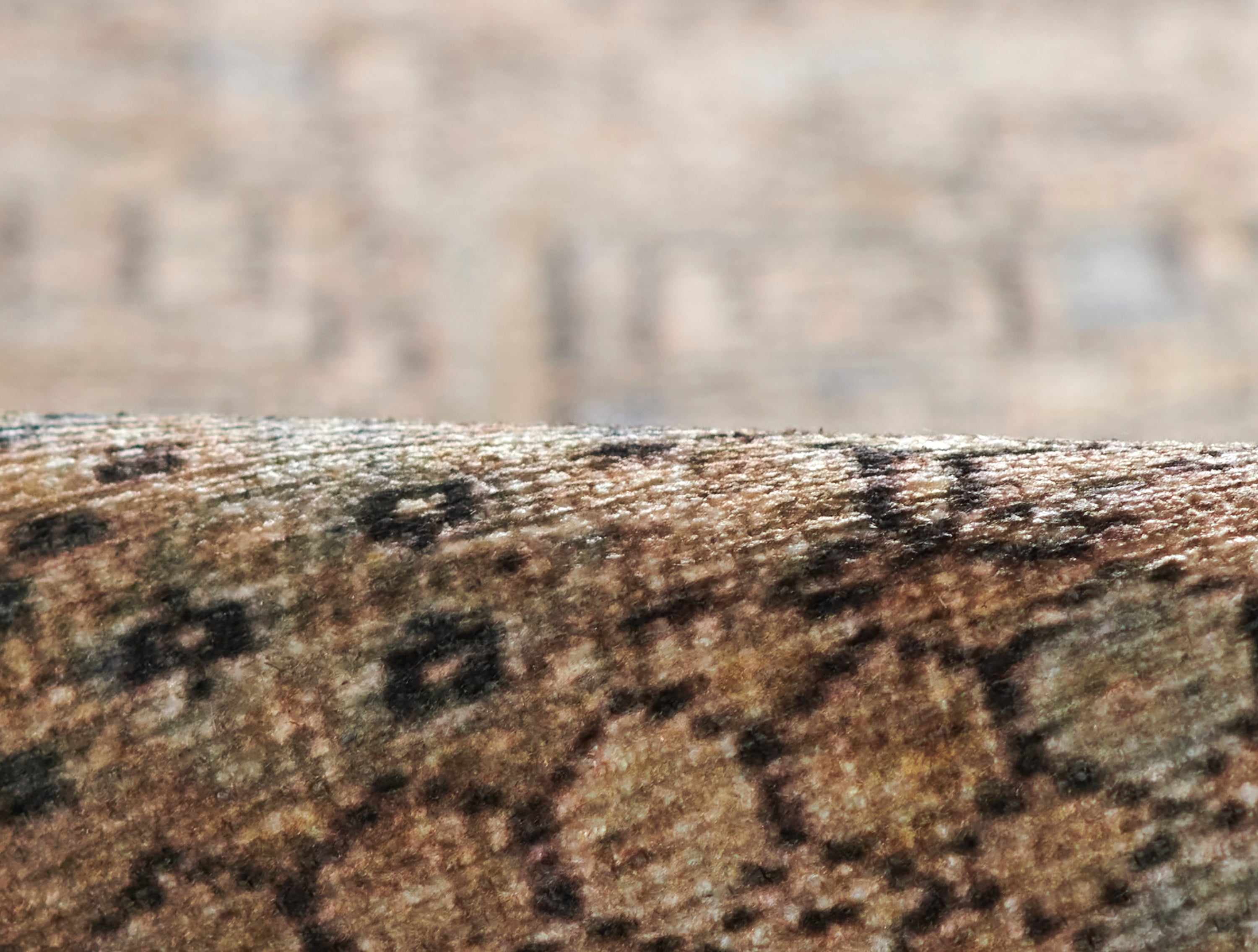 Ariana Machine Made Rug RUGS - synthetic Momeni