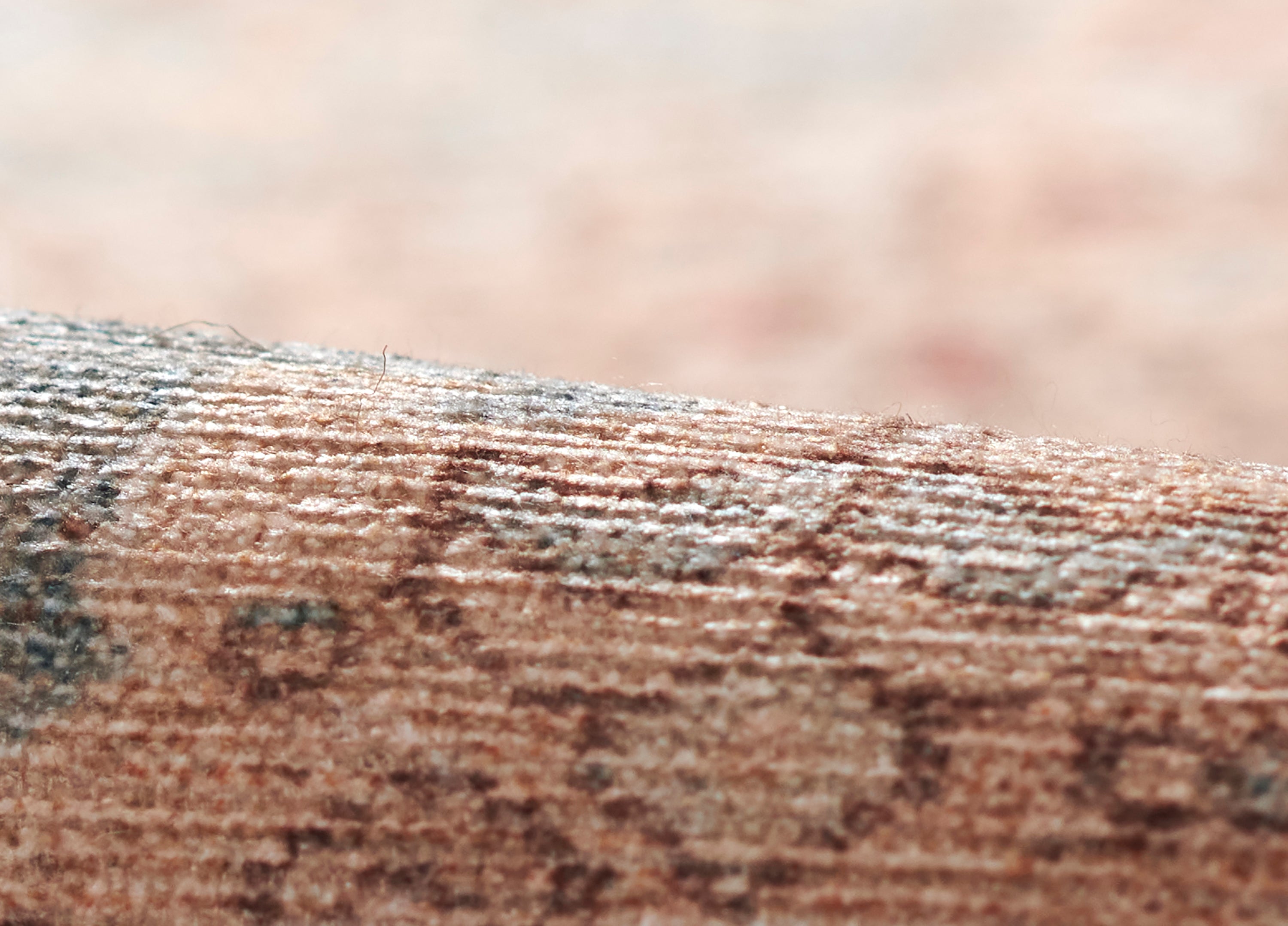 Ariana Machine Made Rug RUGS - synthetic Momeni