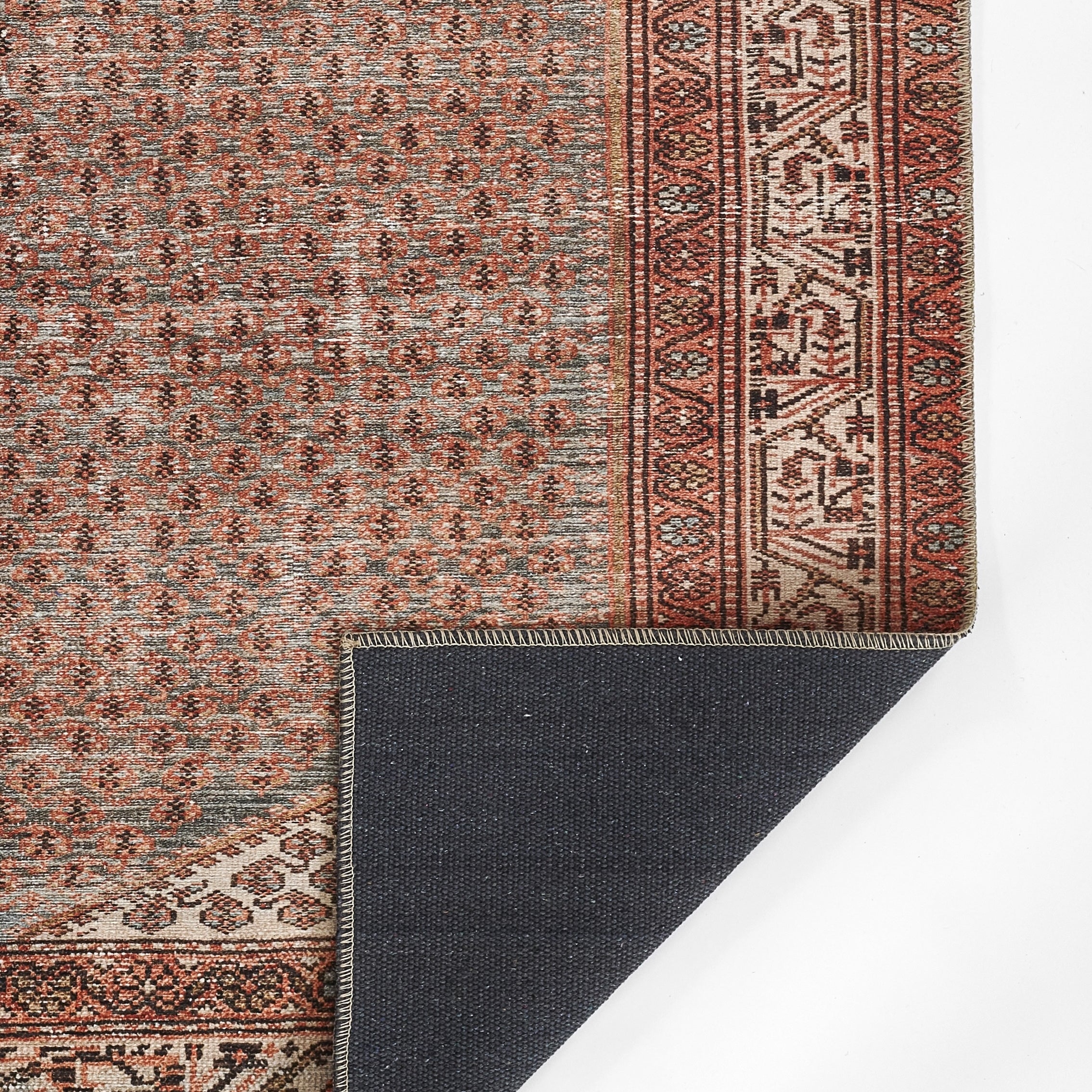 Ariana Machine Made Rug RUGS - synthetic Momeni